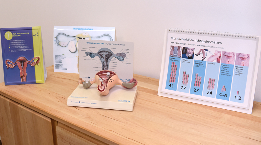 frauenarzt frauenarzt